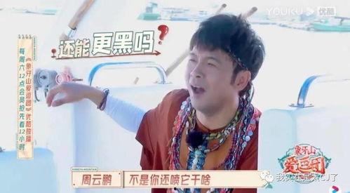 网红冷门吃瓜哥